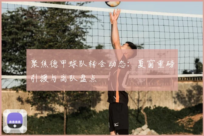 聚焦德甲球队转会动态：夏窗重磅引援与离队盘点