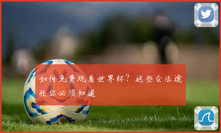如何免费观看世界杯？这些合法途径你必须知道