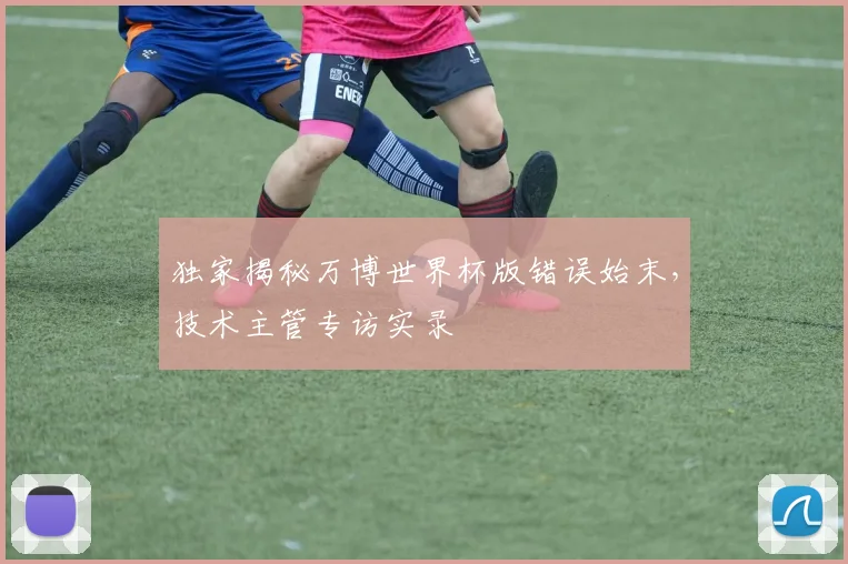 独家揭秘万博世界杯版错误始末，技术主管专访实录