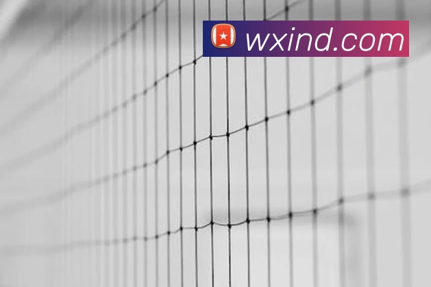 beat365最新网站发展历程